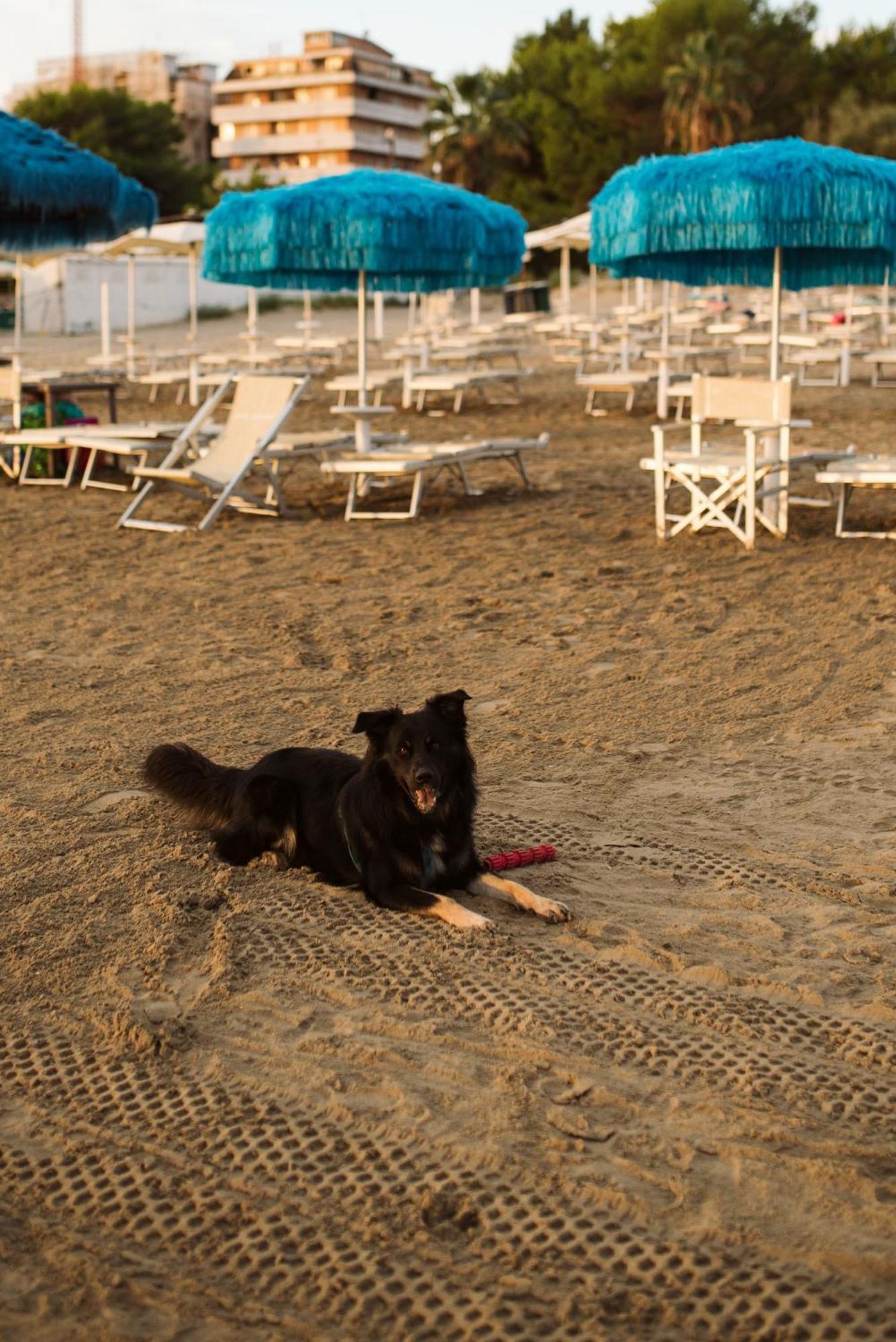 Hotel Antagos Montesilvano Marina Esterno foto